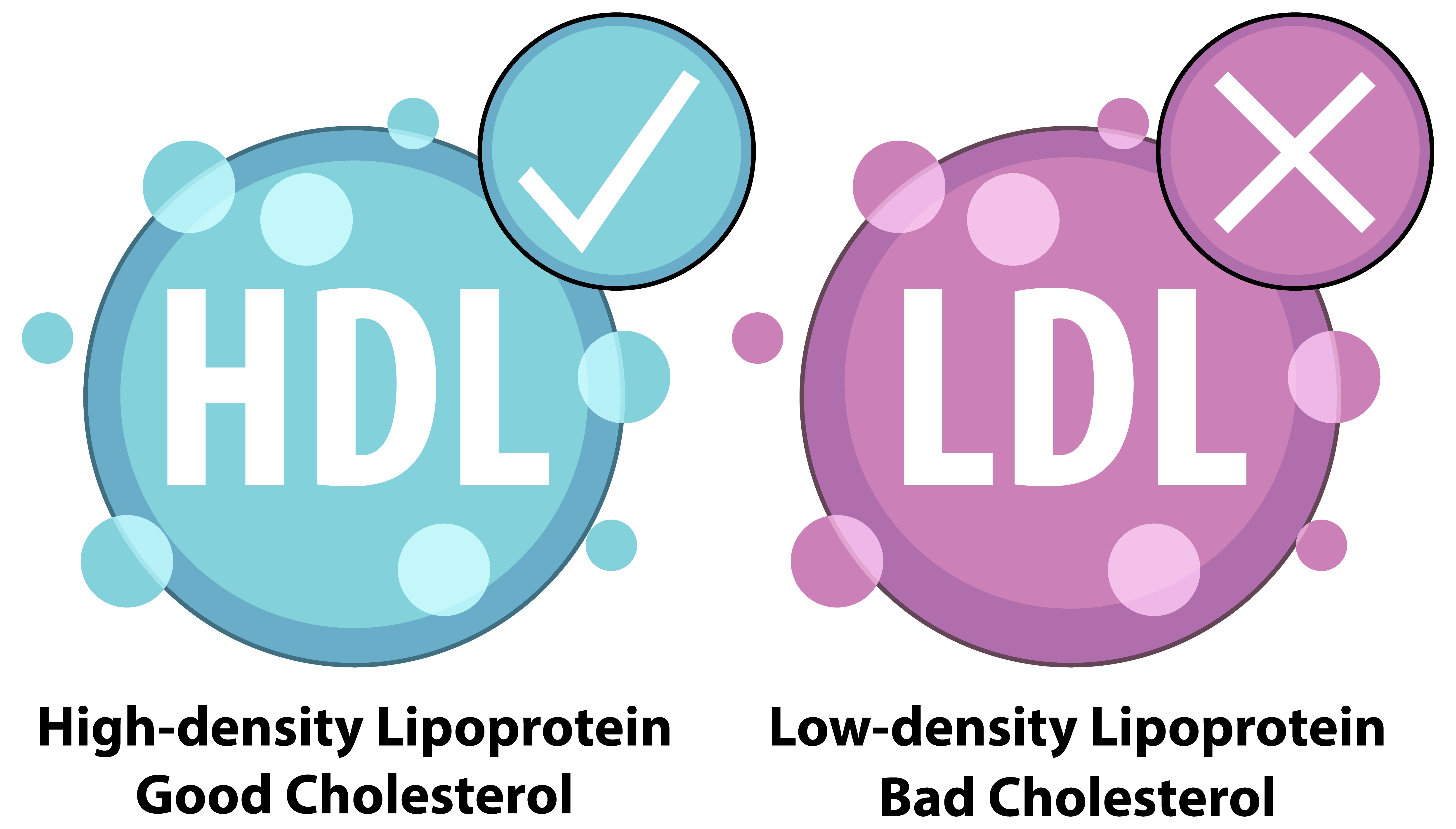 HDL